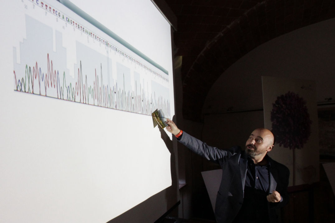 aglione news