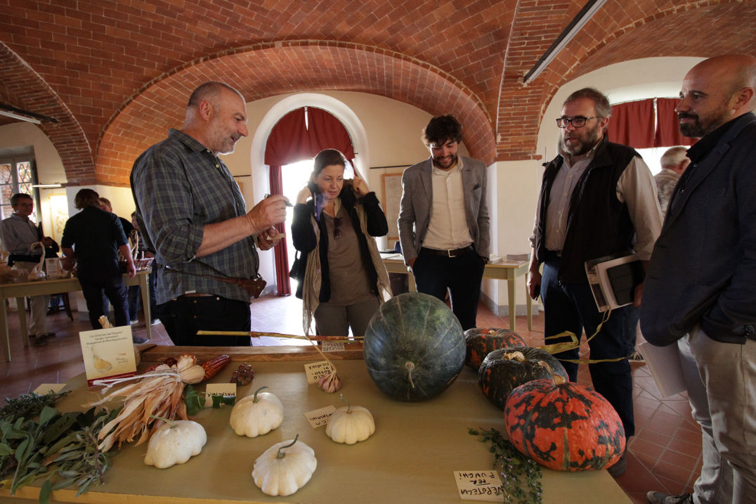 aglione news
