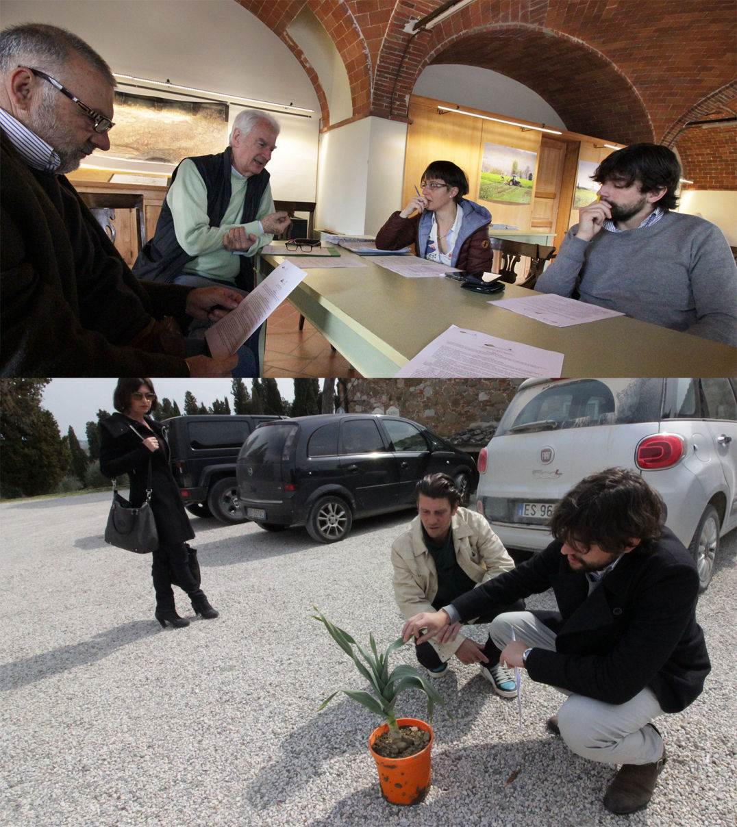 aglione news