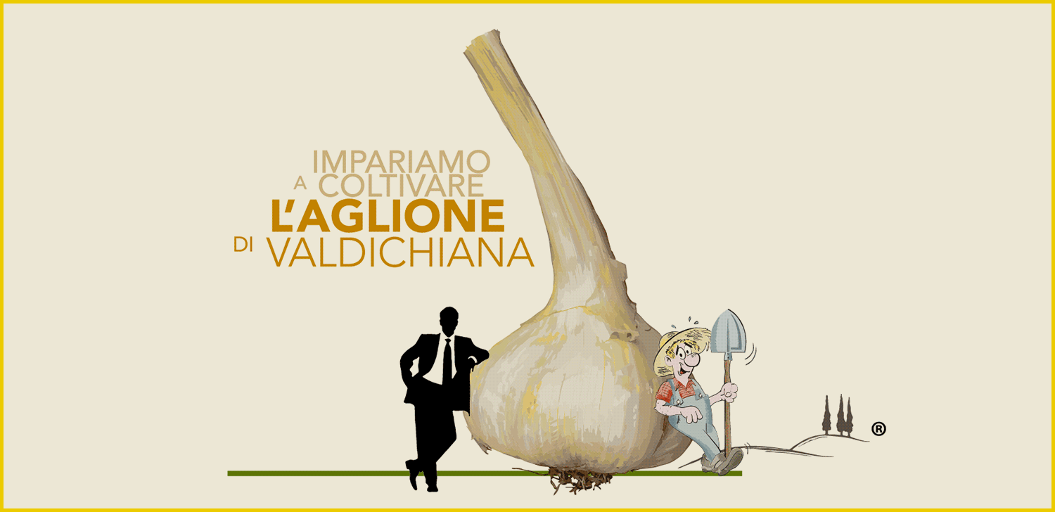 aglione news