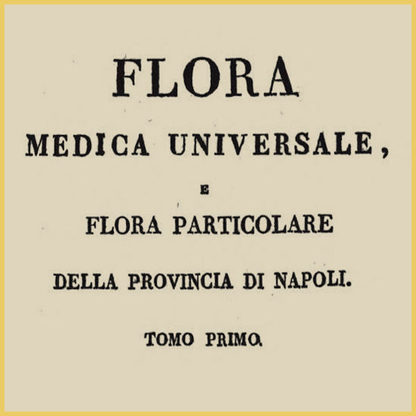 biblioaglione