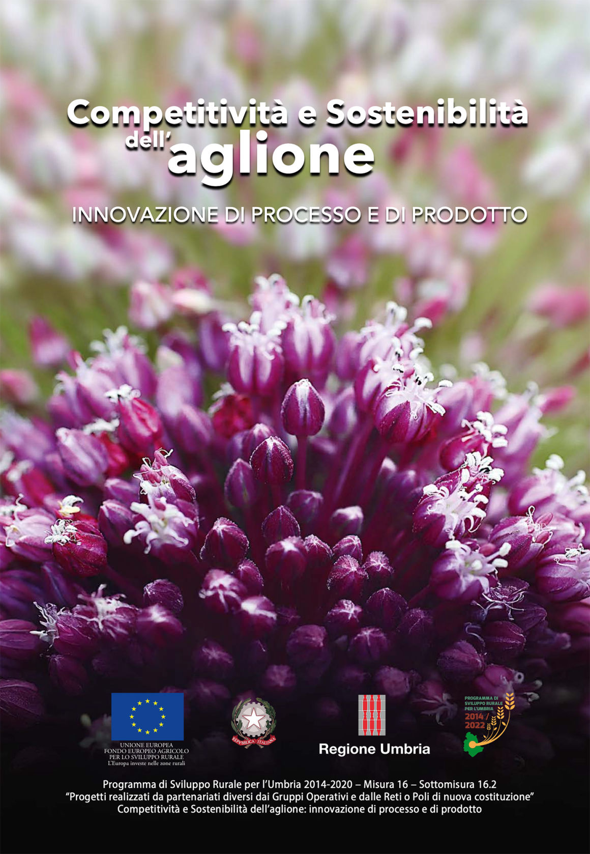 aglione