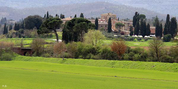AGLIONE