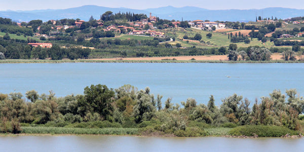 aglione