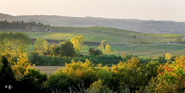 aglione